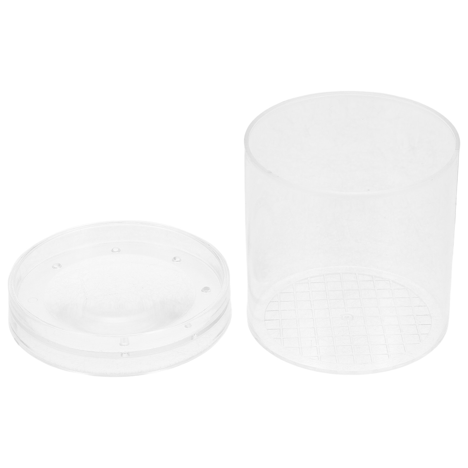 Science Toys - 3X vergrotende insectenobservatiedoos Educatief wetenschappelijk verkenningstool