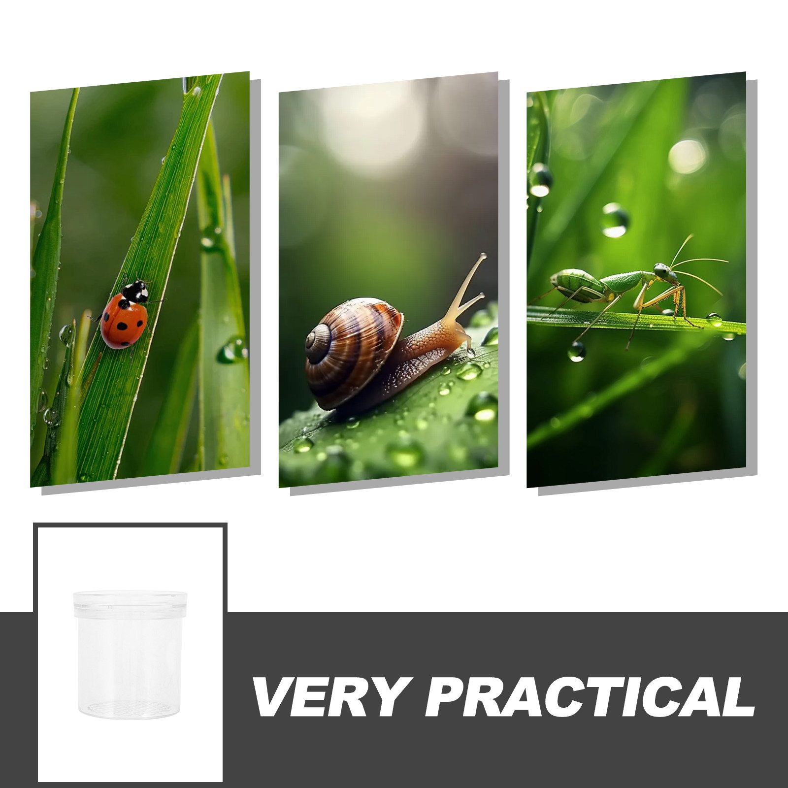 3X vergrotende insectenobserva - Science Toys recensie en prijs