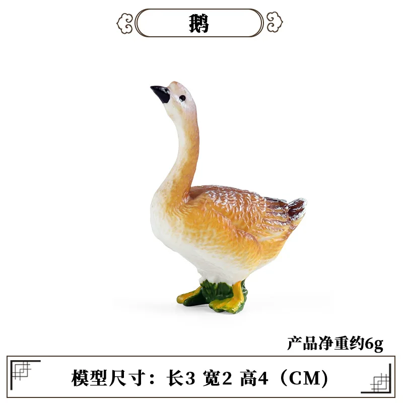 Onderwijs Leermiddel Gevogelte - Science Toys recensie en prijs