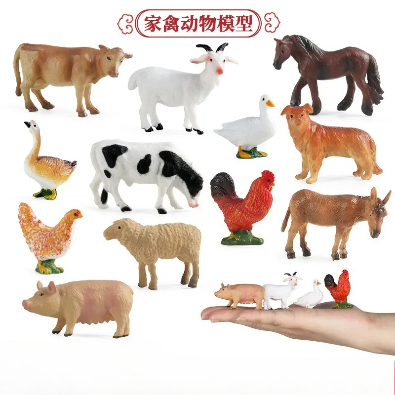 Onderwijs Leermiddel Gevogelte - Science Toys recensie en prijs