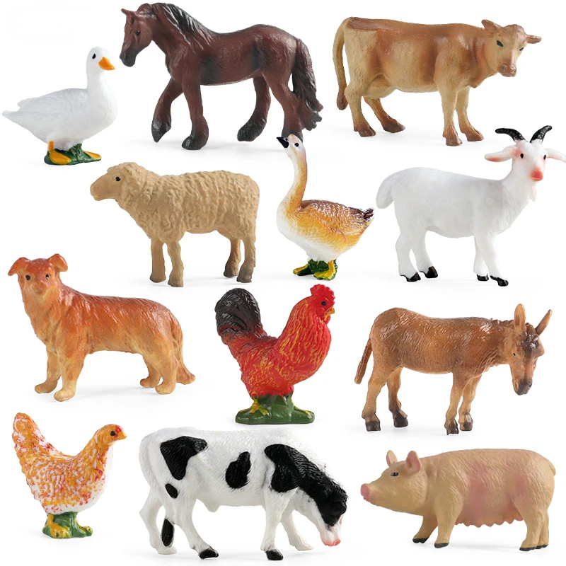 Onderwijs Leermiddel Gevogelte - Science Toys recensie en prijs